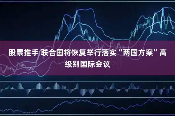 股票推手 联合国将恢复举行落实“两国方案”高级别国际会议