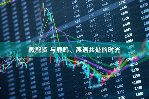 微配资 与鹿鸣、燕语共处的时光