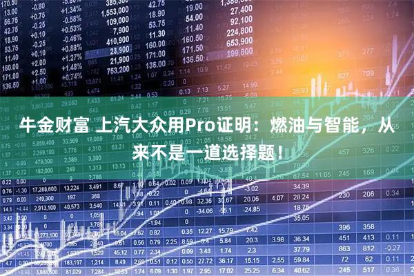 牛金财富 上汽大众用Pro证明：燃油与智能，从来不是一道选择题！
