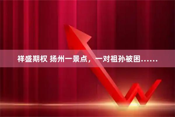 祥盛期权 扬州一景点，一对祖孙被困……