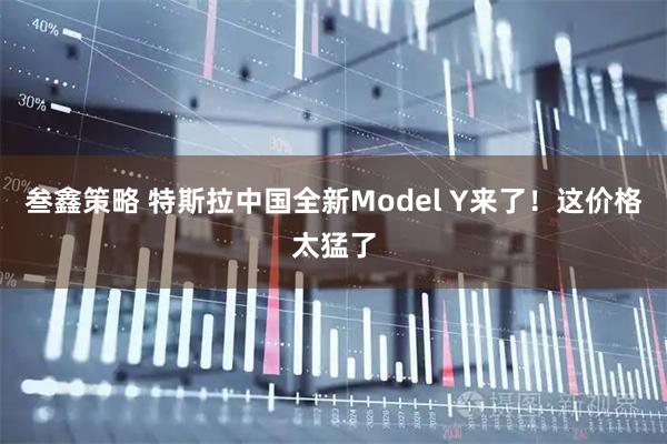 叁鑫策略 特斯拉中国全新Model Y来了！这价格太猛了